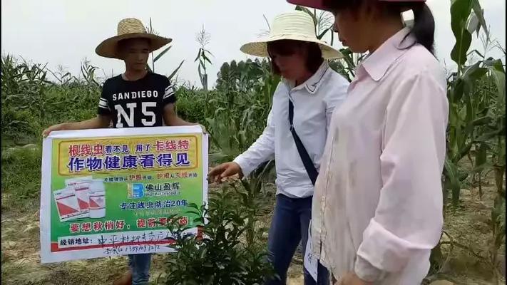 盈辉卡线特用后效果回访记录